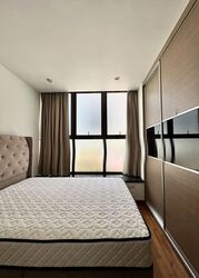 Holland Link (D10), Terrace #546995721